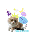 みよん家のわんこ＆にゃんこ ②（個別スタンプ：8）
