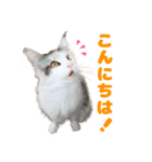 ぷにたまでこの敬語スタンプ（個別スタンプ：2）