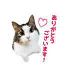 ぷにたまでこの敬語スタンプ（個別スタンプ：6）