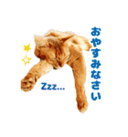 ぷにたまでこの敬語スタンプ（個別スタンプ：7）