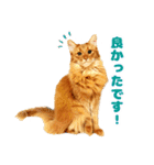 ぷにたまでこの敬語スタンプ（個別スタンプ：12）
