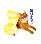 ぷにたまでこの敬語スタンプ（個別スタンプ：14）