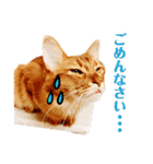 ぷにたまでこの敬語スタンプ（個別スタンプ：21）