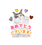 ぷにたまでこの敬語スタンプ（個別スタンプ：23）