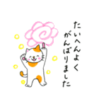さちねこスタンプ2お祝いことば（個別スタンプ：16）