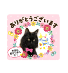 ねこにゃんスタンプ①（個別スタンプ：2）