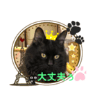 ねこにゃんスタンプ①（個別スタンプ：4）