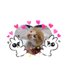 こにゃこ（個別スタンプ：3）