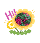 花の気持ちスタンプ（個別スタンプ：5）