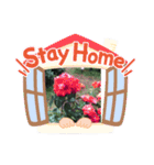 花の気持ちスタンプ（個別スタンプ：15）