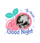 保護猫いち君＆チイちゃん（個別スタンプ：9）