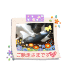 保護猫いち君＆チイちゃん（個別スタンプ：13）