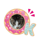 保護猫いち君＆チイちゃん（個別スタンプ：14）