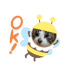 保護猫いち君＆チイちゃん（個別スタンプ：16）