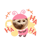 保護猫いち君＆チイちゃん（個別スタンプ：38）