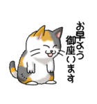 猫大好き！その35（仕事用）（個別スタンプ：1）