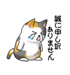 猫大好き！その35（仕事用）（個別スタンプ：11）