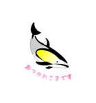 うみのいきもの いろいろ（個別スタンプ：5）
