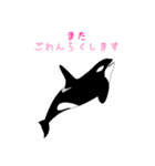 うみのいきもの いろいろ（個別スタンプ：12）
