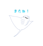 うみのいきもの いろいろ（個別スタンプ：20）
