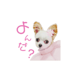 なっつ♡ぴのんコラボスタンプ（個別スタンプ：22）