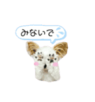 なっつ♡ぴのんコラボスタンプ（個別スタンプ：28）