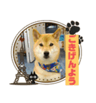 ここすけ❤️スタンプ（個別スタンプ：3）