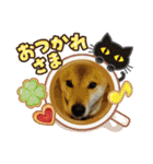 ここすけ❤️スタンプ（個別スタンプ：8）