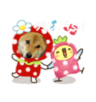 ここすけ❤️スタンプ（個別スタンプ：20）