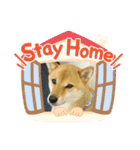 ここすけ❤️スタンプ（個別スタンプ：26）