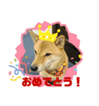 ここすけ❤️スタンプ（個別スタンプ：27）