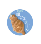 赤毛ねこのジンジャー5（個別スタンプ：1）