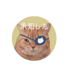 赤毛ねこのジンジャー5（個別スタンプ：18）