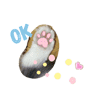 猫夢10（個別スタンプ：1）