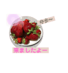 猫夢10（個別スタンプ：8）
