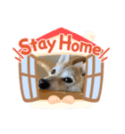 柴犬（日常で使えそうじゃん？？）（個別スタンプ：4）
