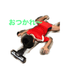 すわはら（個別スタンプ：3）