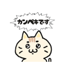 【日常】ぽちゃねこ敬語スタンプ（個別スタンプ：25）