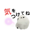シマエナガ挨拶ことば（個別スタンプ：6）
