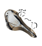 シマエナガ挨拶ことば（個別スタンプ：16）