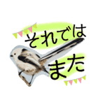 シマエナガ挨拶ことば（個別スタンプ：22）