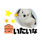 シマエナガ挨拶ことば（個別スタンプ：33）