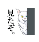 イケ猫スタンプ！（個別スタンプ：5）