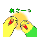 インコのレモン♡ライム3（個別スタンプ：2）