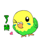 インコのレモン♡ライム3（個別スタンプ：6）