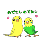 インコのレモン♡ライム3（個別スタンプ：16）