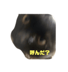 ちゃぶとこんぶのスタンプ（個別スタンプ：5）
