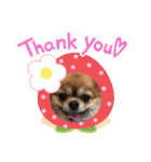 かわいい❤️こまのスタンプ❤️❤️（個別スタンプ：25）