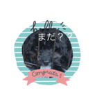 ラクくん（個別スタンプ：1）