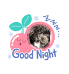 ラクくん（個別スタンプ：3）